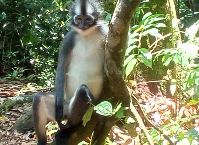ユースホステル Jungle Treking & Jungle Tour If You Want To Stay Here,you Must Book Treking Only With Us