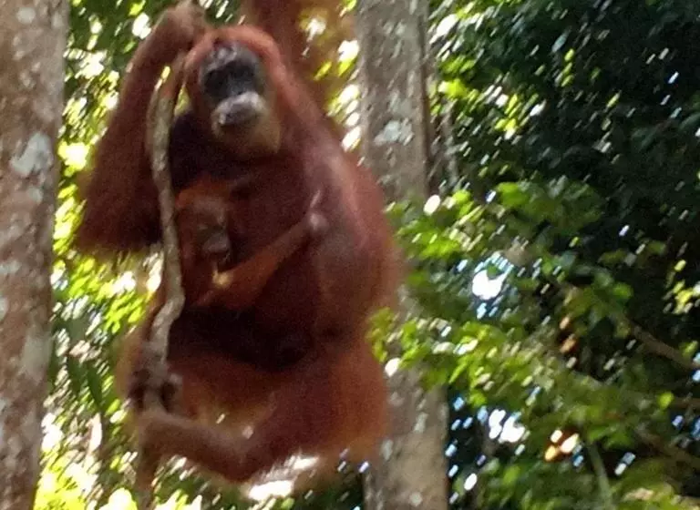 ユースホステル Jungle Treking & Jungle Tour If You Want To Stay Here,you Must Book Treking Only With Us