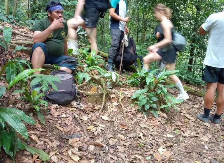 ユースホステル Jungle Treking & Jungle Tour If You Want To Stay Here,you Must Book Treking Only With Us