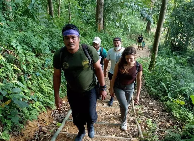ユースホステル Jungle Treking & Jungle Tour If You Want To Stay Here,you Must Book Treking Only With Us