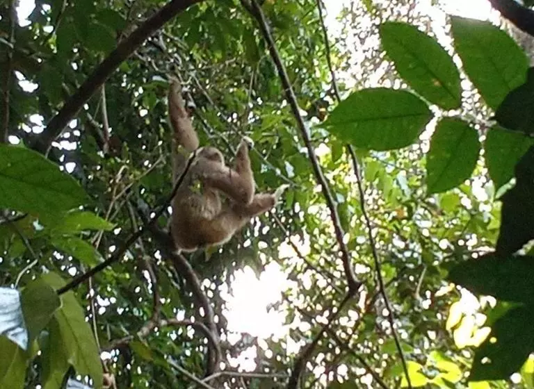 ユースホステル Jungle Treking & Jungle Tour If You Want To Stay Here,you Must Book Treking Only With Us