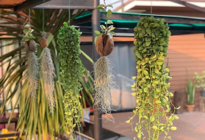 住宿加早餐 Bkl Pool Villa Pattaya