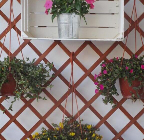 مبيت وإفطار Playa Dei Turchi