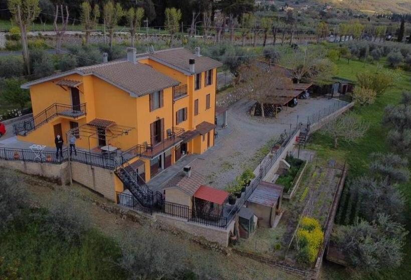 Casa Vacanze Antica Volsinii