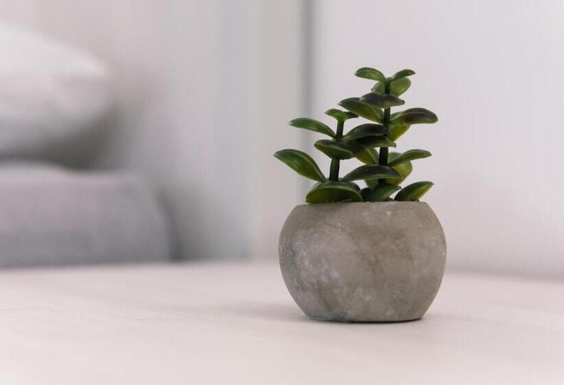 Deluxe Dreams & Spa Sabac