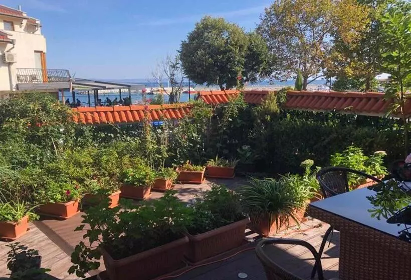 پانسیون Breeze Guest House