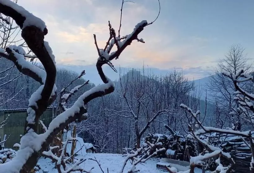 Trekker S Home L Infinito Per Escursionisti   Gruppi E Famiglie