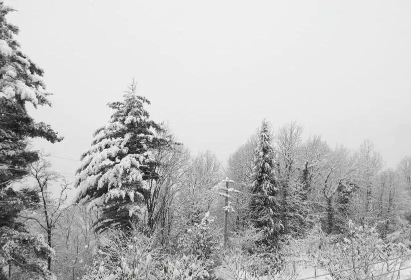 Trekker S Home L Infinito Per Escursionisti   Gruppi E Famiglie