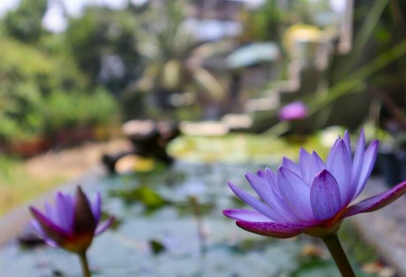 ペンション Magnet