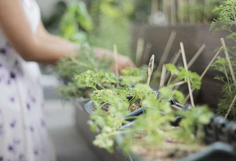 Citadines Salcedo Makati