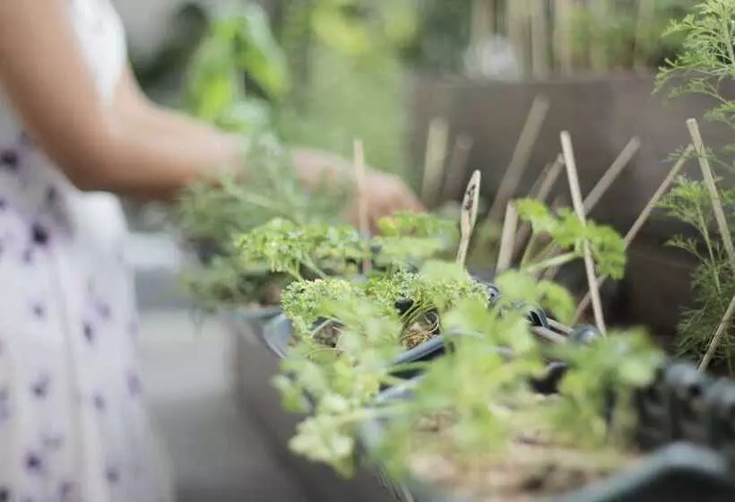 Citadines Salcedo Makati