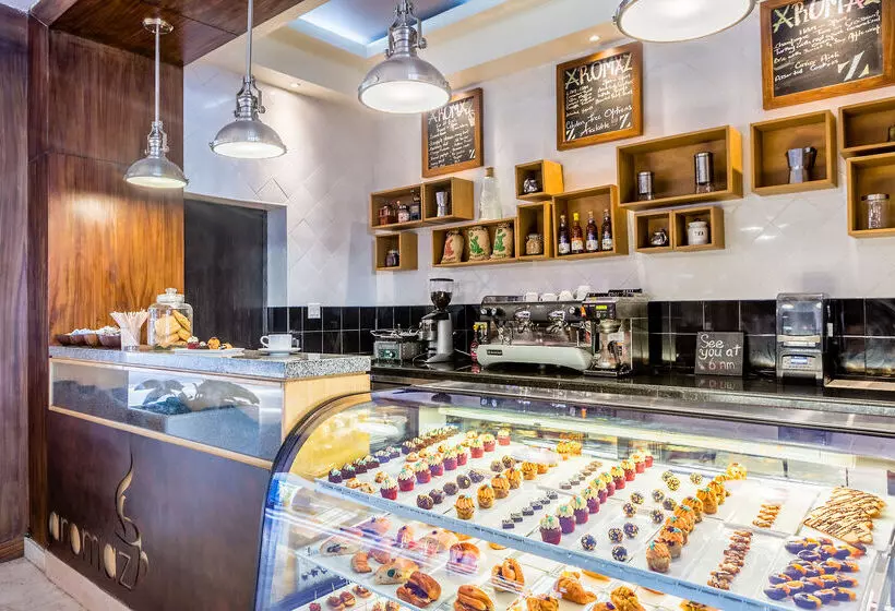 Hotel Hyatt Zilara Rose Hall Adults Only All Inclusive