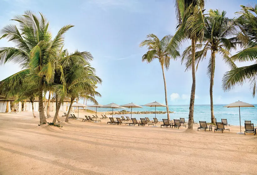 Hotel Hyatt Zilara Rose Hall Adults Only All Inclusive