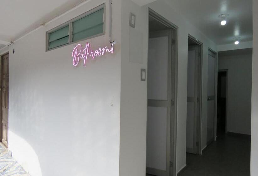 فندق Pariwana Hostel Cusco