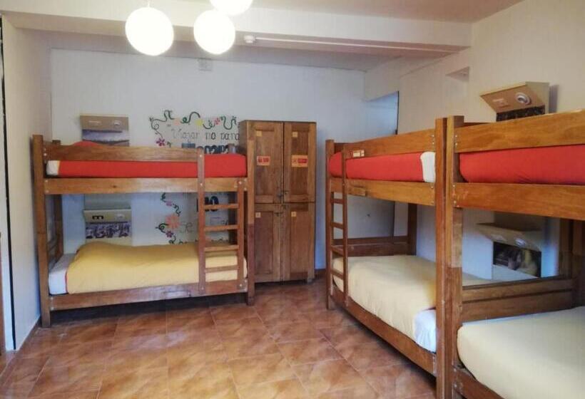 فندق Pariwana Hostel Cusco