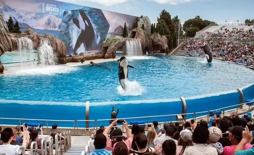 Pier South Resort, Autograph Collection