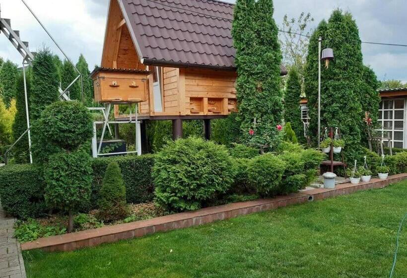 Szálló садиба