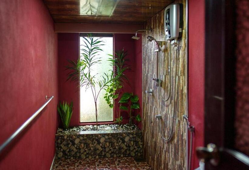 تختخواب و صبحانه Green Orange Villa