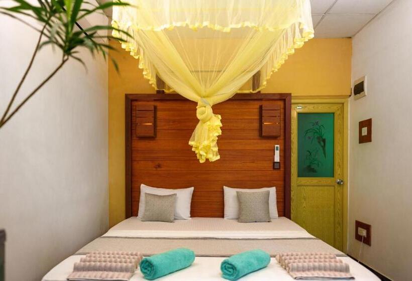 تختخواب و صبحانه Green Orange Villa