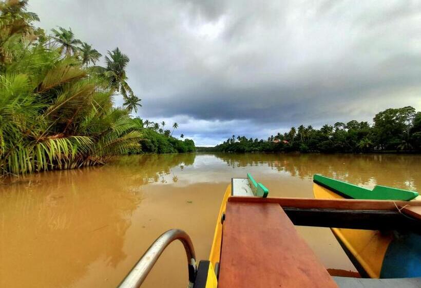 تختخواب و صبحانه Green Orange Villa