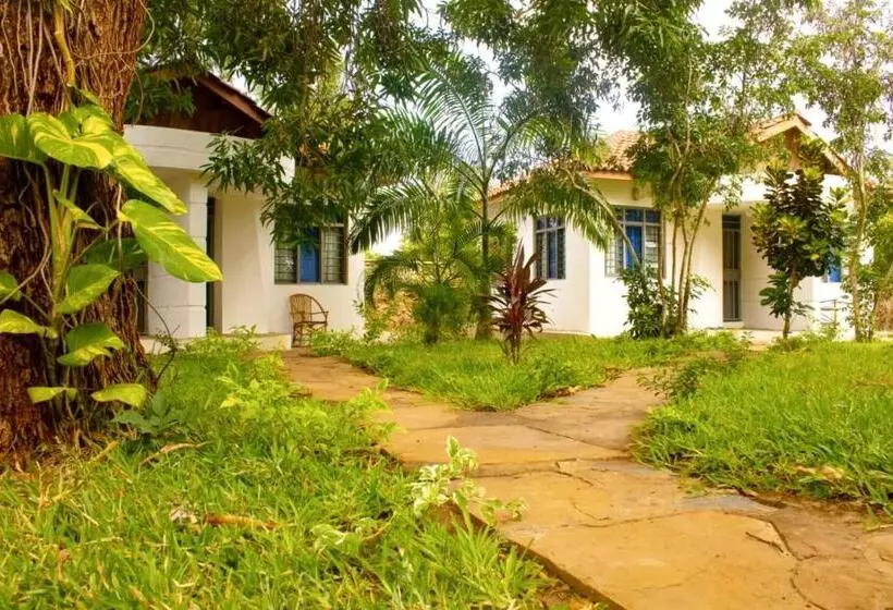 پانسیون Cycad Palm Diani