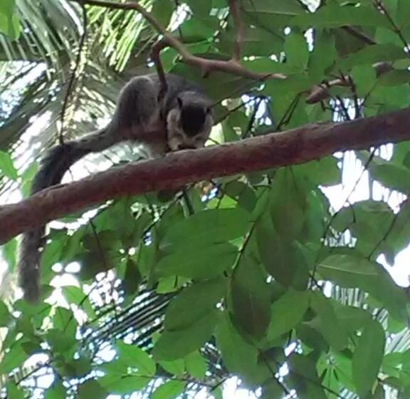 ペンション Dinuka Village