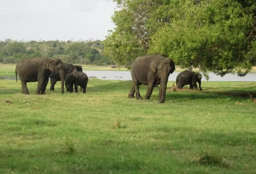 پانسیون Dinuka Village
