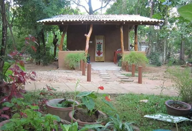 پانسیون Dinuka Village