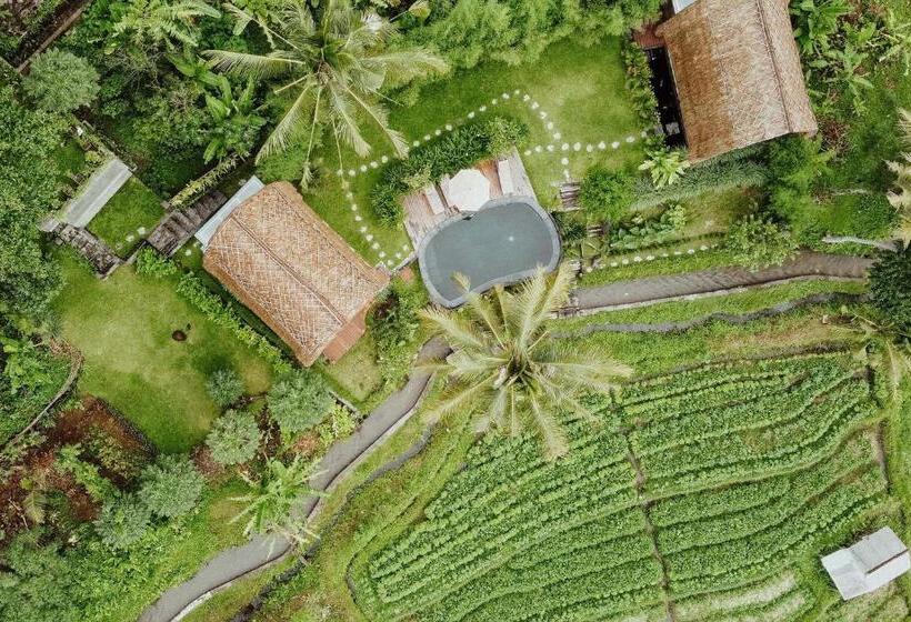 Romantic Barn With Mt. Agung Views