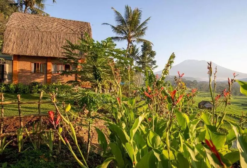 Romantic Barn With Mt. Agung Views