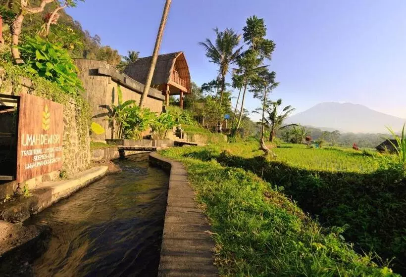 Romantic Barn With Mt. Agung Views