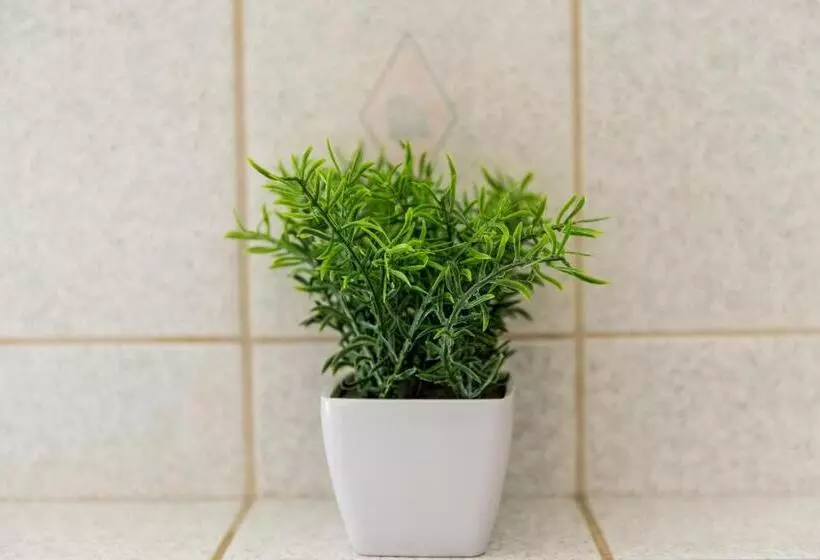 Characterful 2 Bed Apartment   Spacious & Comfy