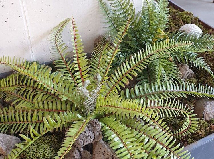 Junibino Hotel Hongdae