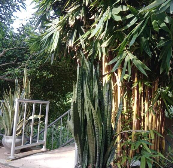 Pension (Hôtel basse catégorie) K6 Villa