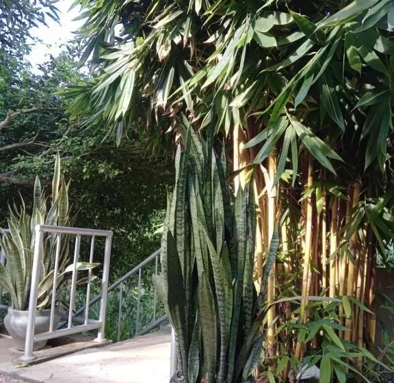 Majatalo K6 Villa