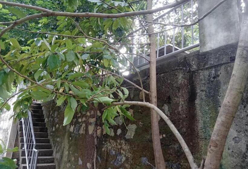 Pension (Hôtel basse catégorie) K6 Villa