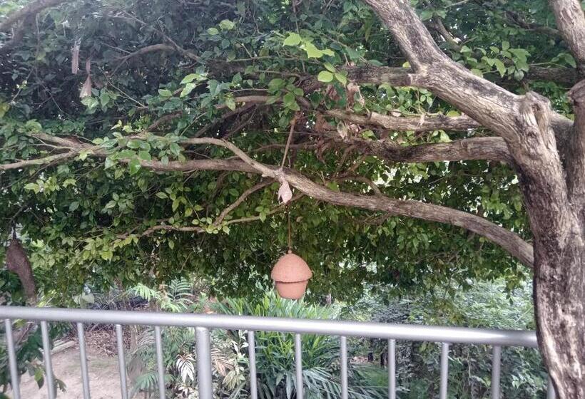 Pension (Hôtel basse catégorie) K6 Villa