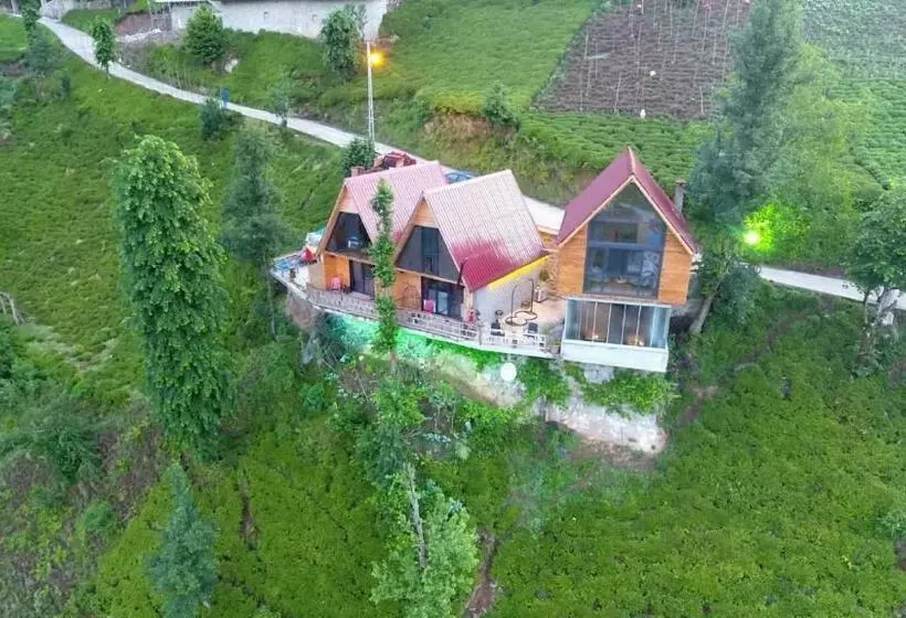 Ekakta Bungalov