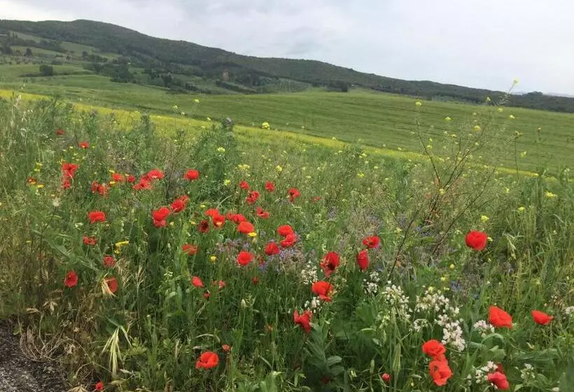 In Piazza Casale Marittimo