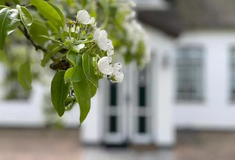 Landhaus Tons 4 Tinje