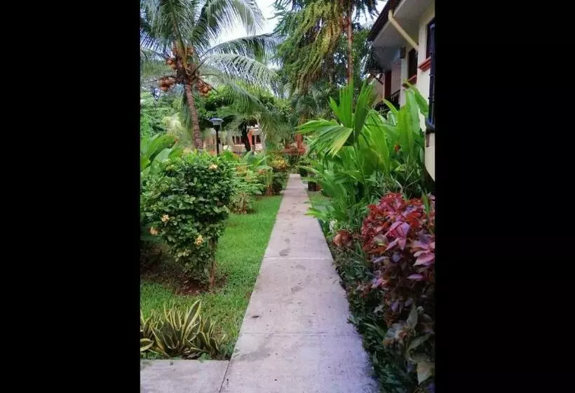 پانسیون Room In Condo   Nice Condo To Vacation In Playas Del Coco