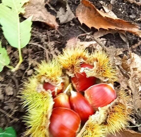 צימר L Altra Casa 1933