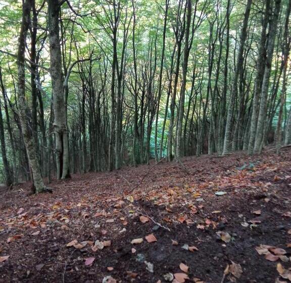 צימר L Altra Casa 1933