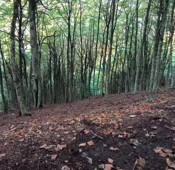 Aamiaismajoitus (B&B) L Altra Casa 1933