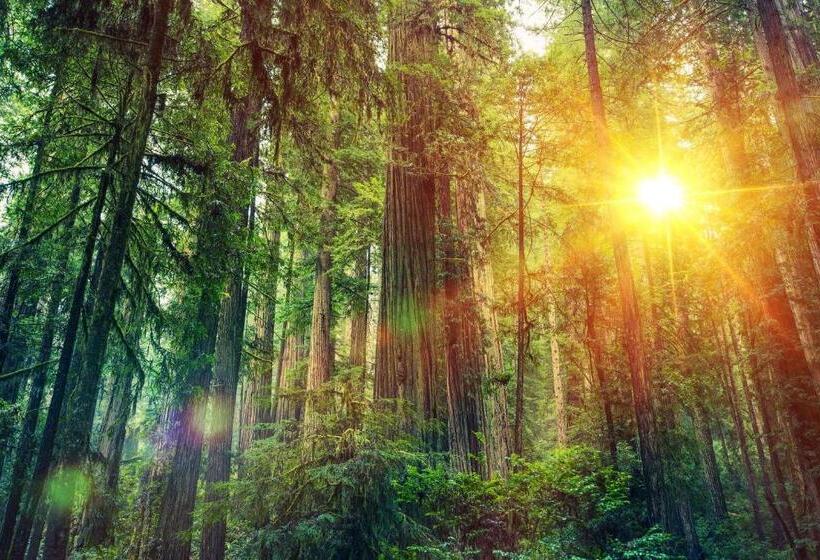 Free Standing Vacation House Garden, Private Jacuzzi, Veluwe Woods