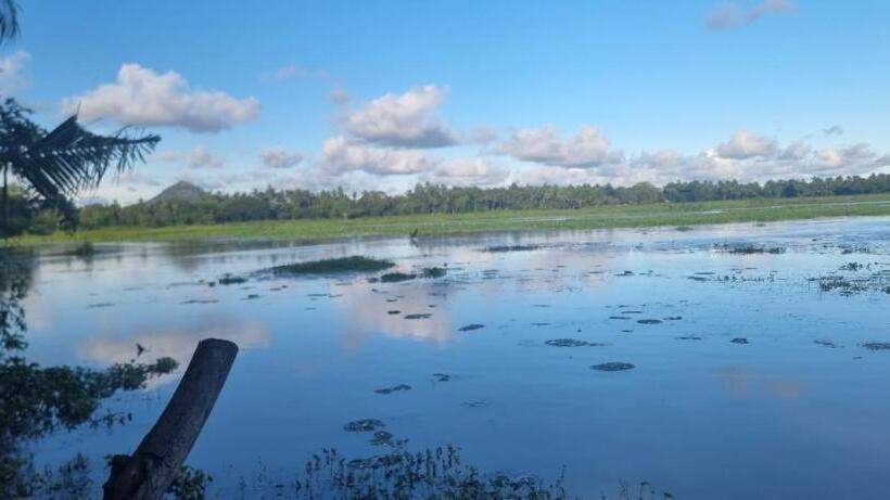 بنسيون Lake Face Cabana