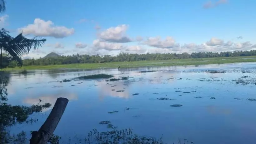 Majatalo Lake Face Cabana