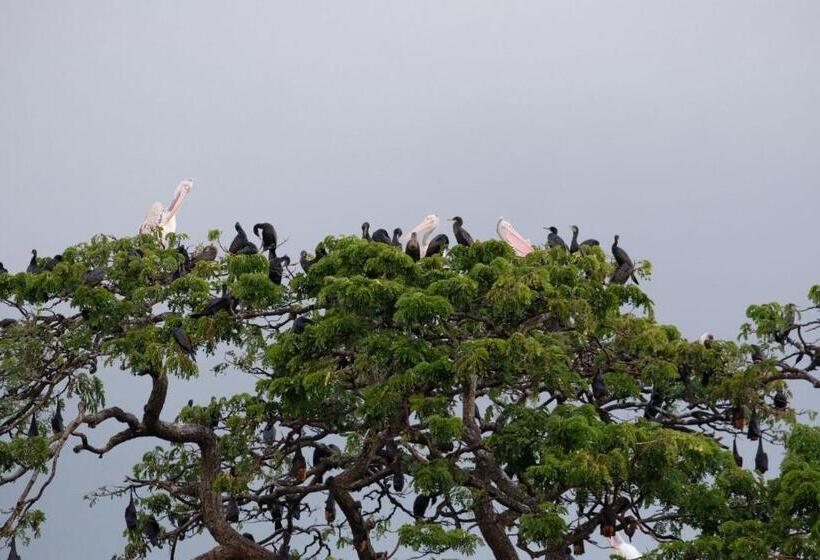 بنسيون Lake Face Cabana