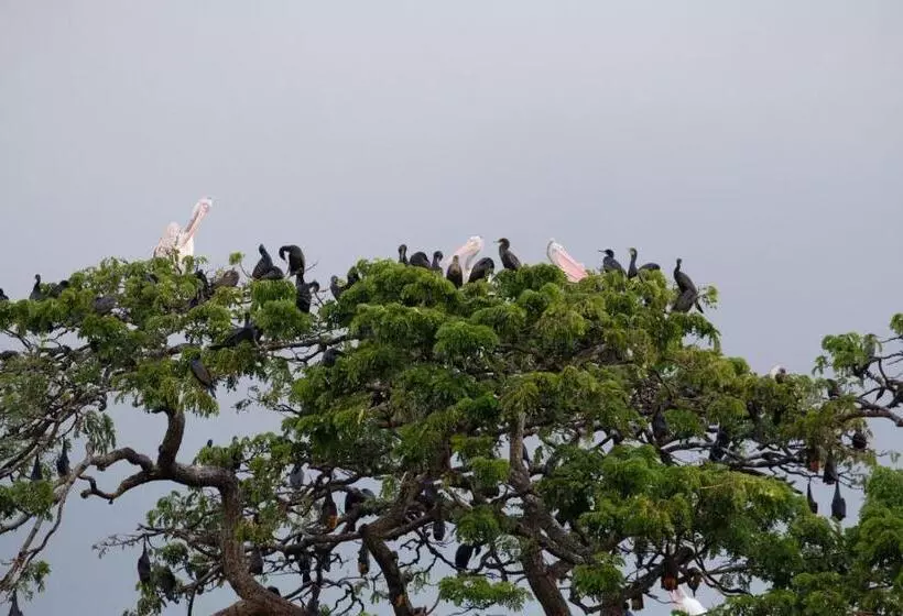 Majatalo Lake Face Cabana