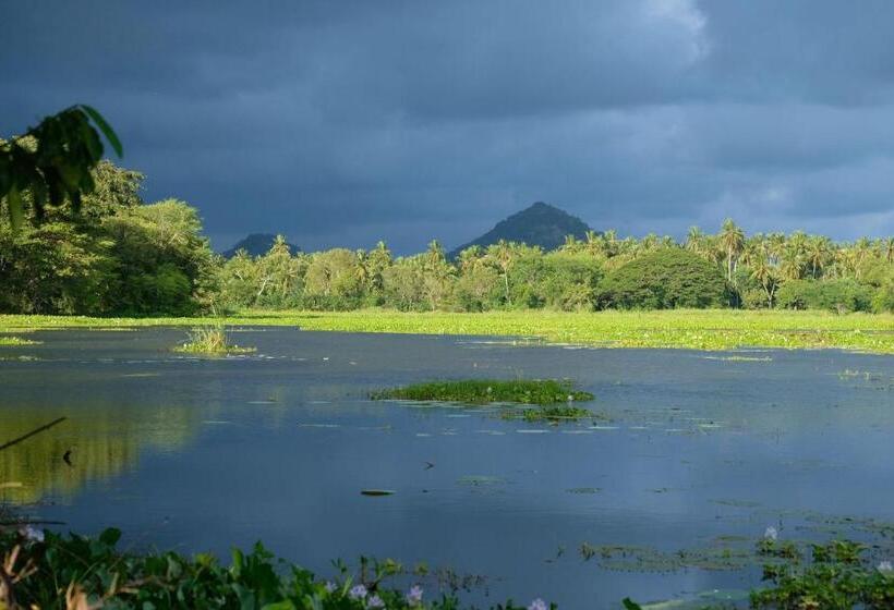 بنسيون Lake Face Cabana